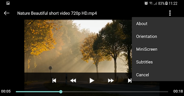 Screenshot Image
