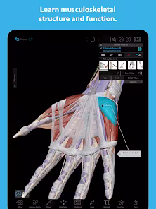Screenshot 7 for Human Anatomy Atlas 2023 2023.05.005 Mod APK All Unlocked