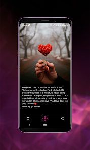 Screenshot 5 for Insget Instagram Downloader 3.11.4 MOD APK Premium Unlocked