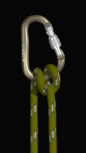 Screenshot 3 for Knots 3D 6.2.1 Paid