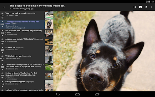 Screenshot 7 for rif is fun golden platinum for Reddit 4.14.3 Paid