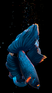 Screenshot 6 for Betta Fish Live Wallpaper FREE 1.3.5 Unlocked