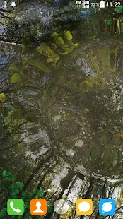 Screenshot 7 for Water Garden Live Wallpaper 1.68 Unlocked