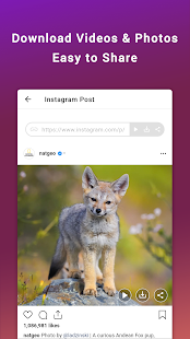 Screenshot 3 for Friendly for Instagram Premium 1.2.1
