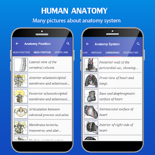 Screenshot 4 for Gray’s Atlas of Anatomy Pro No Ads 1.1