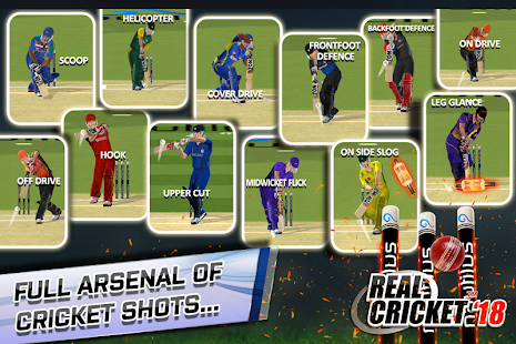 Screenshot 3 for Real Cricket 18 1.3 MOD APK + Data Unlocked