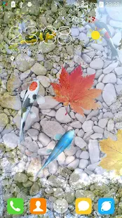 Screenshot 4 for Water Garden Live Wallpaper 1.68 Unlocked