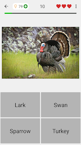 Screenshot 3 for Animals Quiz Learn All Mammals 3.6.0 MOD APK Unlimited Money