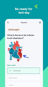 Screenshot 2 for Quizlet 8.14.3 MOD APK Premium Unlocked