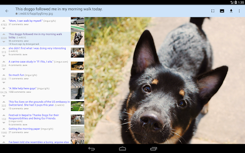 Screenshot 6 for rif is fun golden platinum for Reddit 4.14.3 Paid