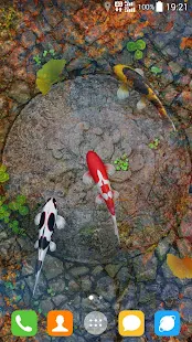 Screenshot 6 for Water Garden Live Wallpaper 1.68 Unlocked