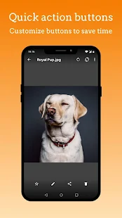 Screenshot 3 for Simple Gallery Pro Photo Manager & Editor 6.12.4 Paid Mod