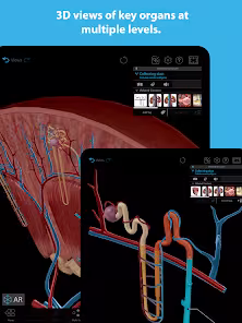 Screenshot 6 for Human Anatomy Atlas 2023 2023.05.005 Mod APK All Unlocked
