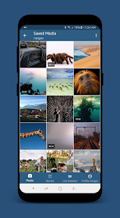 Screenshot 4 for StorySave 1.19.1 Pro APK