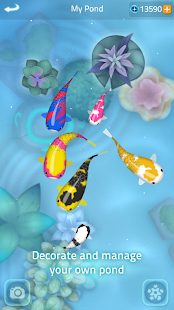 Screenshot 3 for Zen Koi 2 2.1.3 MOD APK Unlimited Money
