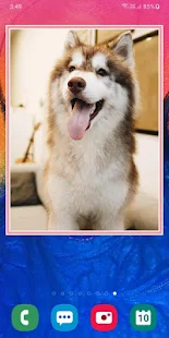 Screenshot 3 for Photo Widget 1.11 Paid